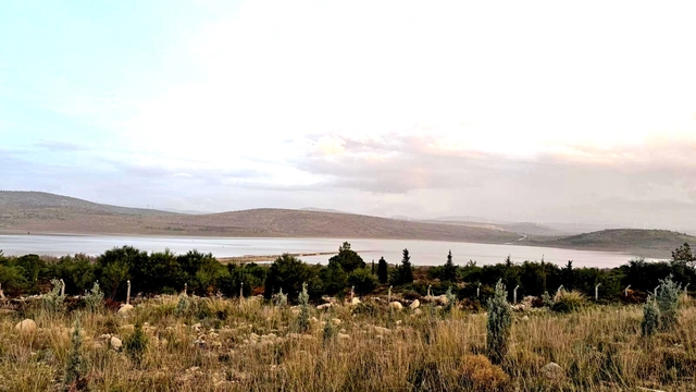 Kutlu Aktaş Barajı'nda sevindirici yükseliş: Su seviyesi yüzde 0,01'den yüzde 15,50'ye çıktı