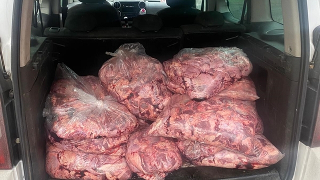 Jandarmanın durdurduğu araçtan 450 kilo bozulmuş et çıktı