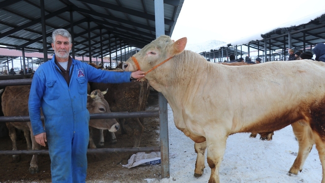 Eksi 15'de hayvan pazarı kuruldu