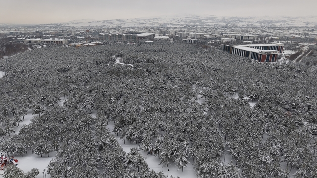 Elazığ'da beton yığınlarının arasındaki beyaz vaha mest etti
Elazığ'da şehrin kalbinde "Kış Ormanı"
