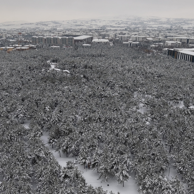 Elazığ'da beton yığınlarının arasındaki beyaz vaha mest etti
Elazığ'da şehr...