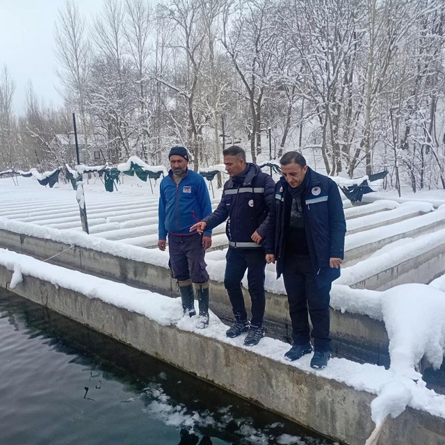 Van'da zorlu kış şartlarında alabalık üretimi mercek altında