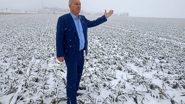 Kar yağışı sarımsak üreticisinin yüzünü güldürecek