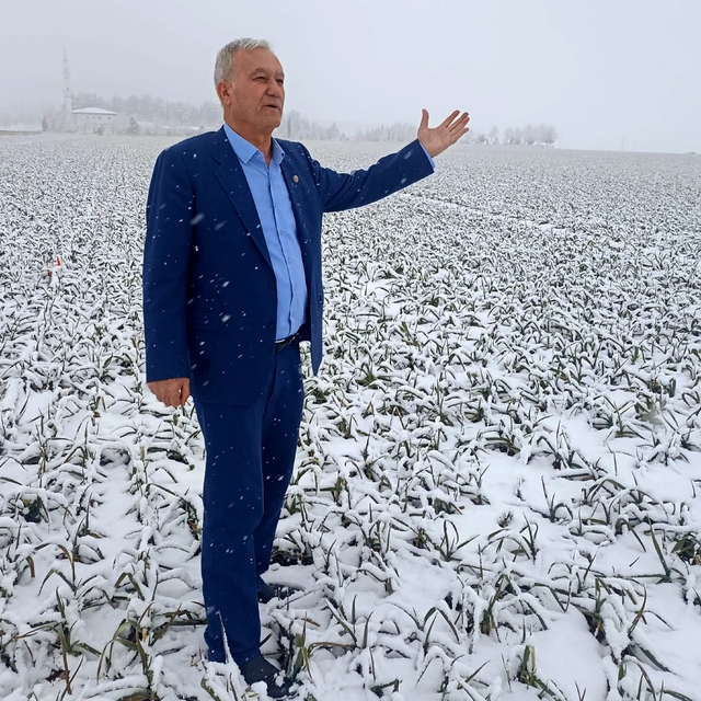 Kar yağışı sarımsak üreticisinin yüzünü güldürecek