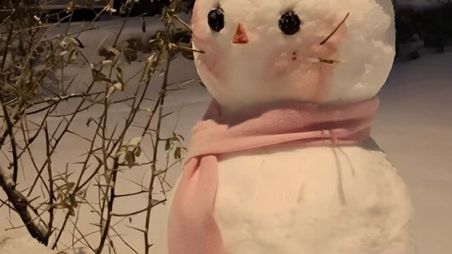 Diyarbakır'ın en güzel kardan adamı seçildi