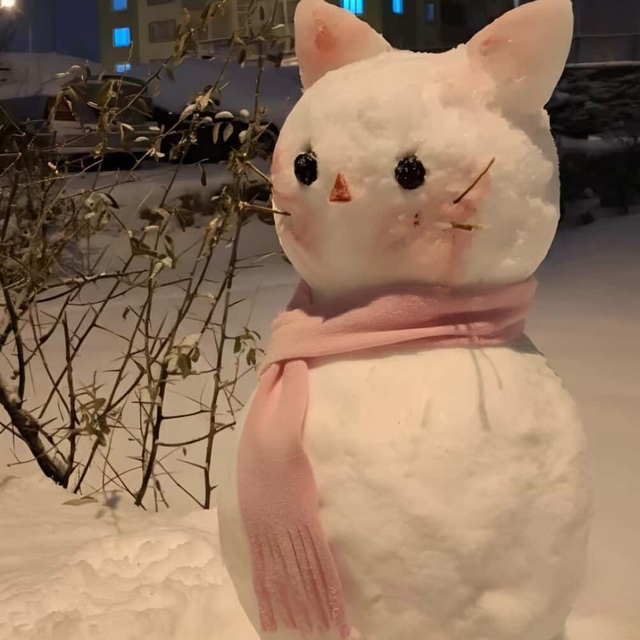 Diyarbakır'ın en güzel kardan adamı seçildi