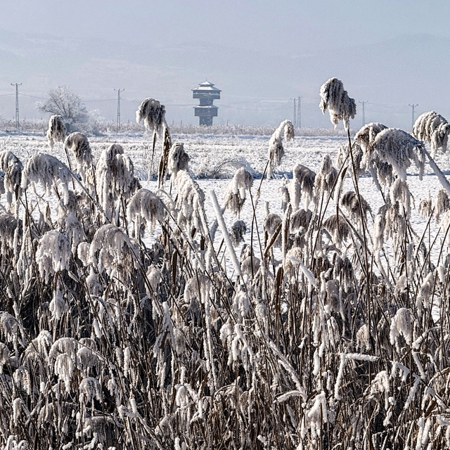 Yüzeyi buz tutan Kaz gölü kış manzarası ile mest etti
