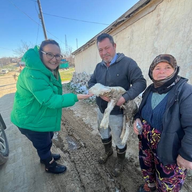 Aşı sırasında yeni doğan kuzu sevindirdi