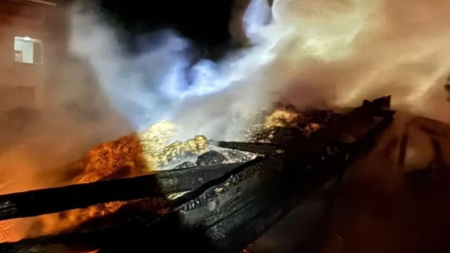 Sinop'ta samanlık yangını