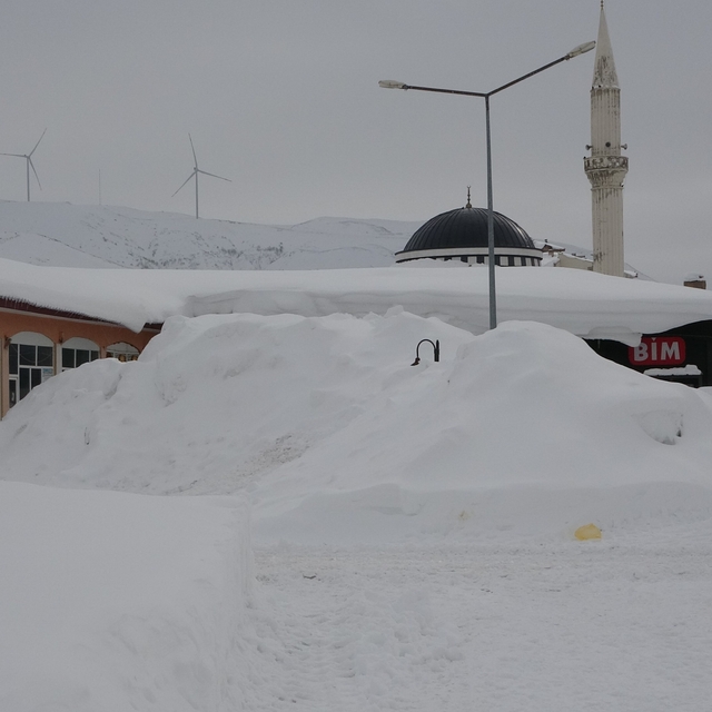 Bitlis'te kış şartları ağırlaşıyor, 124 köy yolu kapandı
