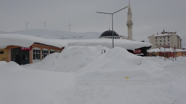 Bitlis'te kış şartları ağırlaşıyor, 124 köy yolu kapandı
