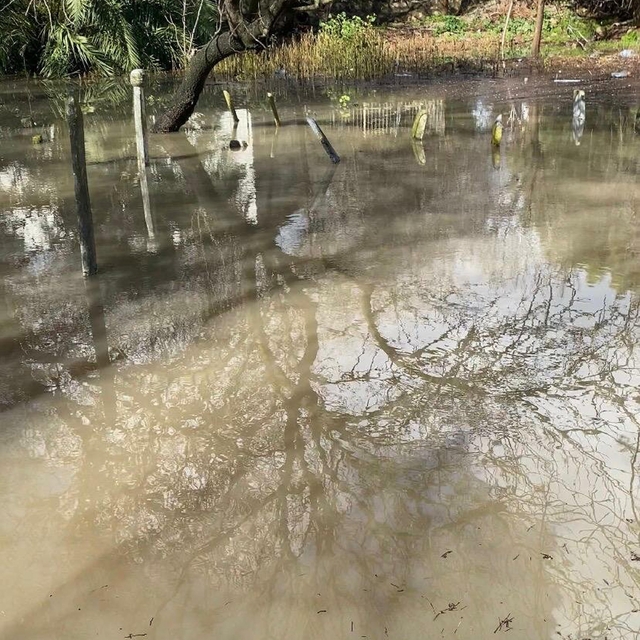 Çeşme'de sağanak etkili oldu; pazaryeri ve mezarlık su altında kaldı
