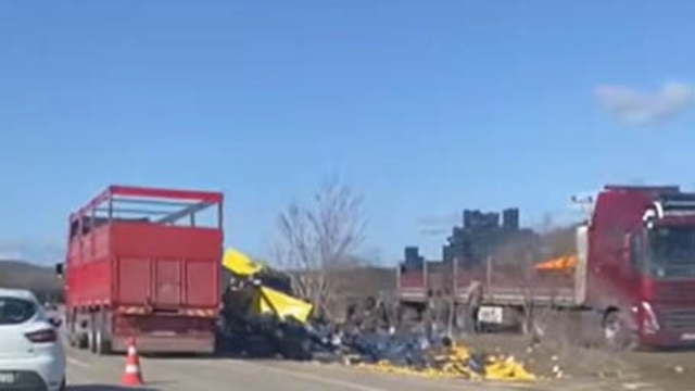 Burdur'da limon yükü tır şarampole devrildi