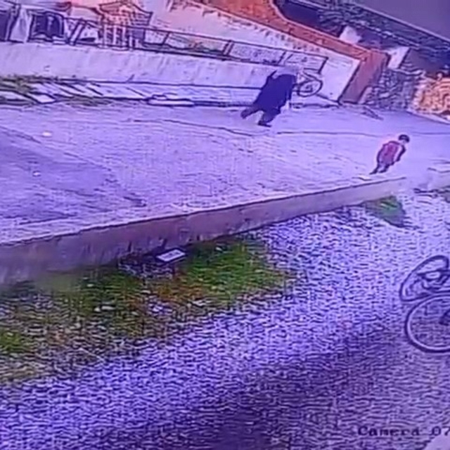 Çocukların gözü önünde köpeği katletti