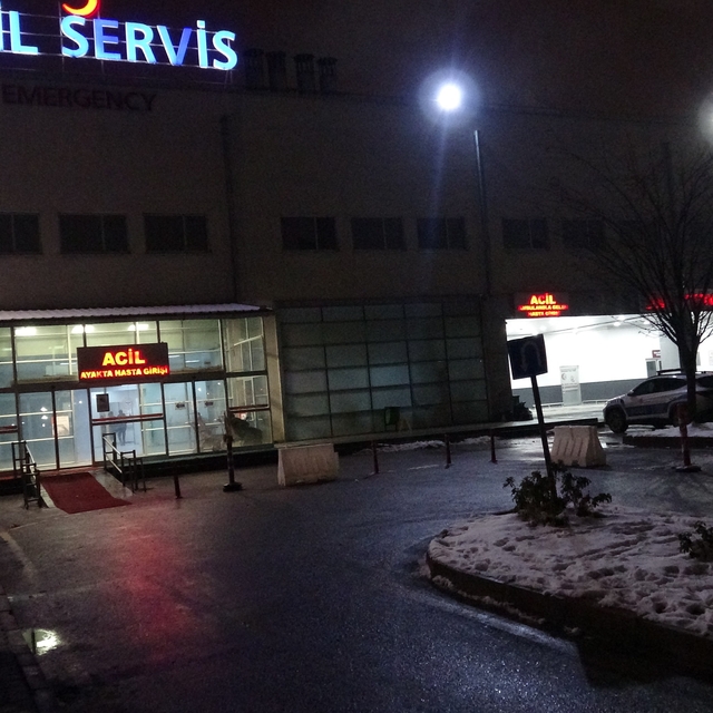 Malatya'da karbonmonoksit zehirlenmesinde sayı 113'e yükseldi