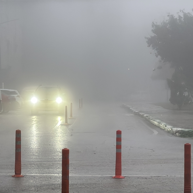 Trakya'da sis etkili oluyor