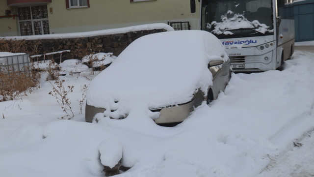 Erzurum, Kars ve Ardahan'da soğuk hava etkili oluyor