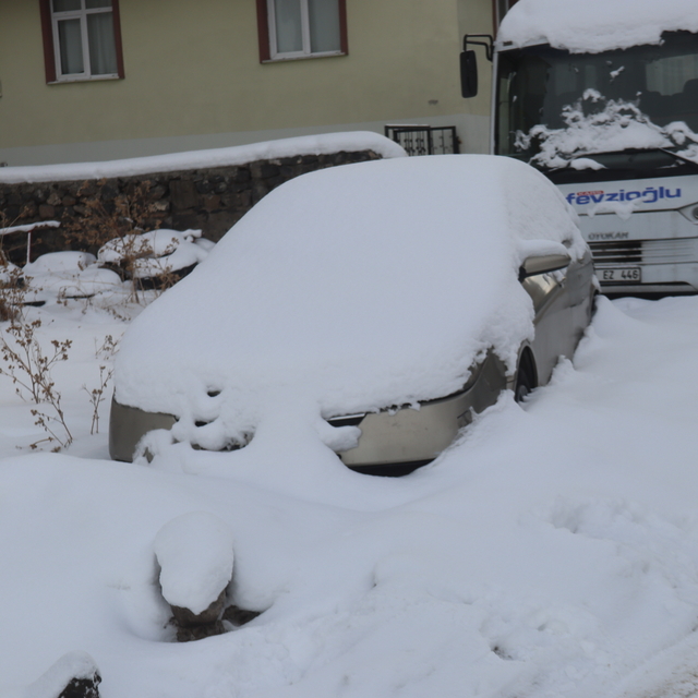 Erzurum, Kars ve Ardahan'da soğuk hava etkili oluyor