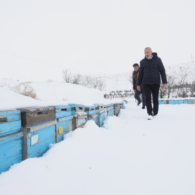 Kar yağışı, koloni kayıplarını ve hastalıkları minimuma indirdi: Arıcılar s...
