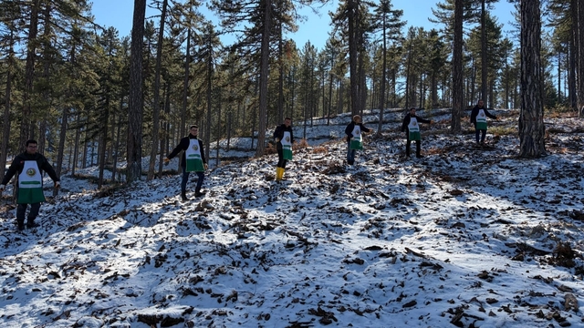 Saimbeyli'de orman geleceğe hazırlanıyor