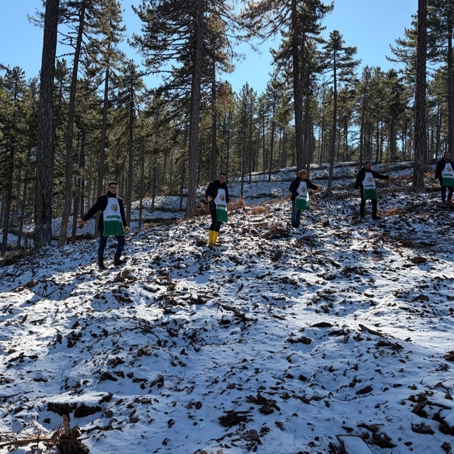 Saimbeyli'de orman geleceğe hazırlanıyor