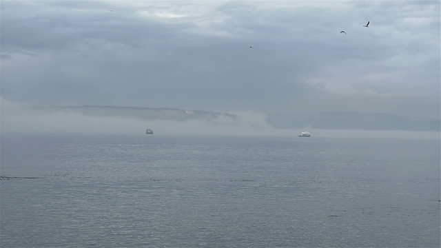 Çanakkale Boğazı, sis nedeniyle çift yönlü olarak ulaşıma kapatıldı