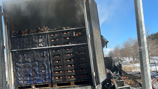 Adana-Pozantı Otoyolu'nda narenciye yüklü tır alevlere teslim oldu
