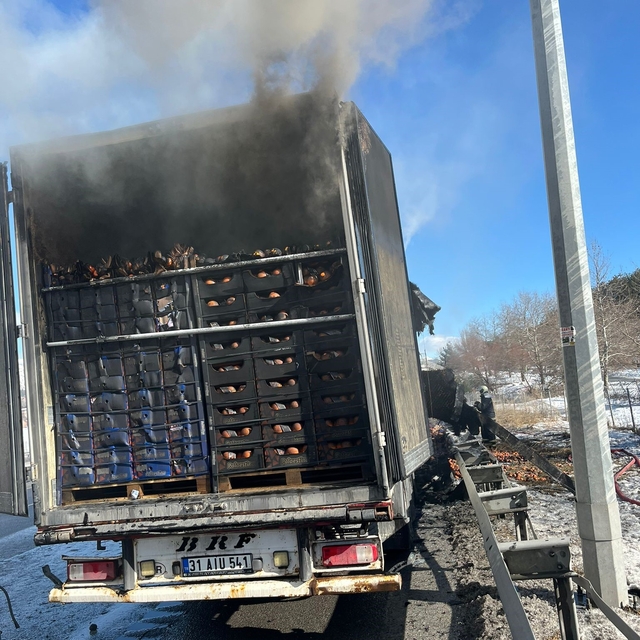 Adana-Pozantı Otoyolu'nda narenciye yüklü tır alevlere teslim oldu