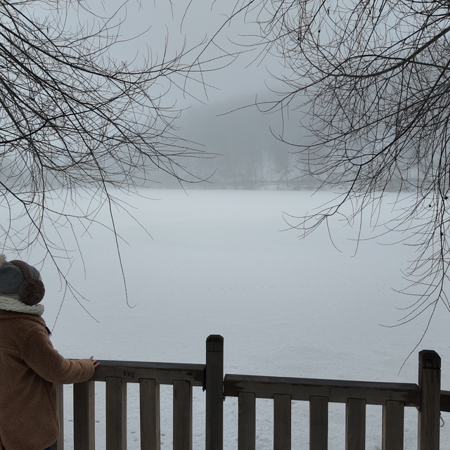 Çubuk ilçesindeki Karagöl Tabiat Parkı karda vakit geçirmek isteyenleri ağı...