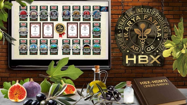 Karya Farma HBX Ar-Ge; 'İncir ve Zeytin Bilimsel Araştırmalar Akademisi' kuracak