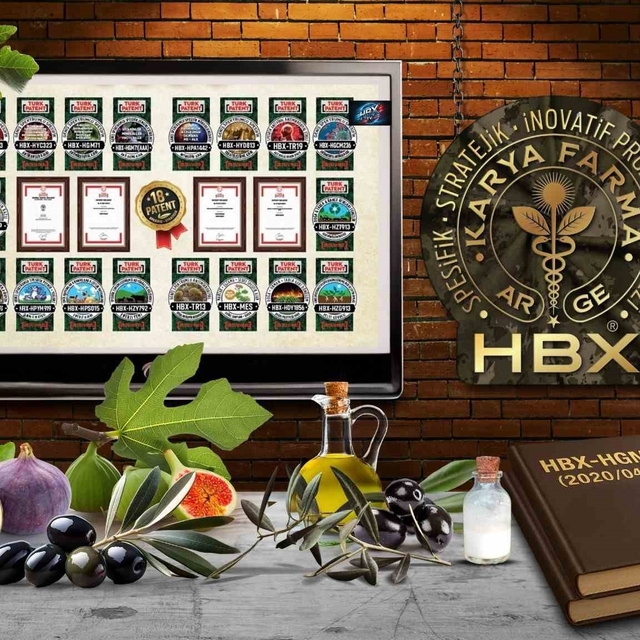 Karya Farma HBX Ar-Ge; 'İncir ve Zeytin Bilimsel Araştırmalar Akademisi' ku...