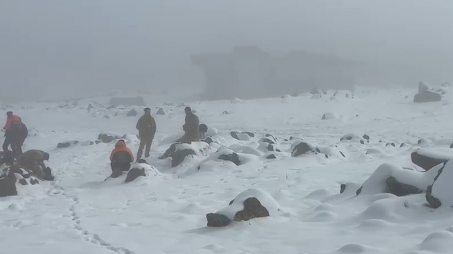 Diyarbakır'da kayıp kadından 4 gündür haber yok; aramalar soğuk ve sisli havada sürüyor