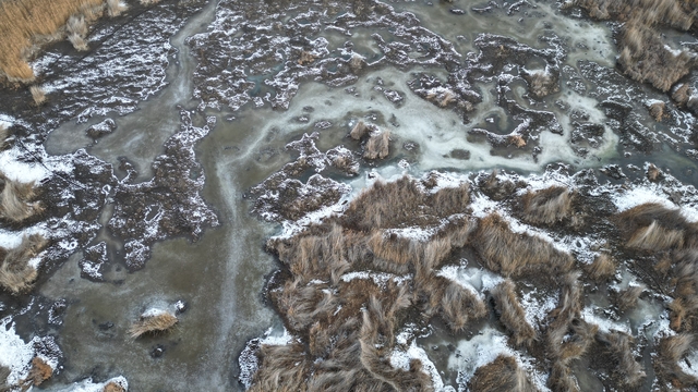 Sultan Sazlığı Milli Parkı'ndaki sulak alanlar buz tuttu