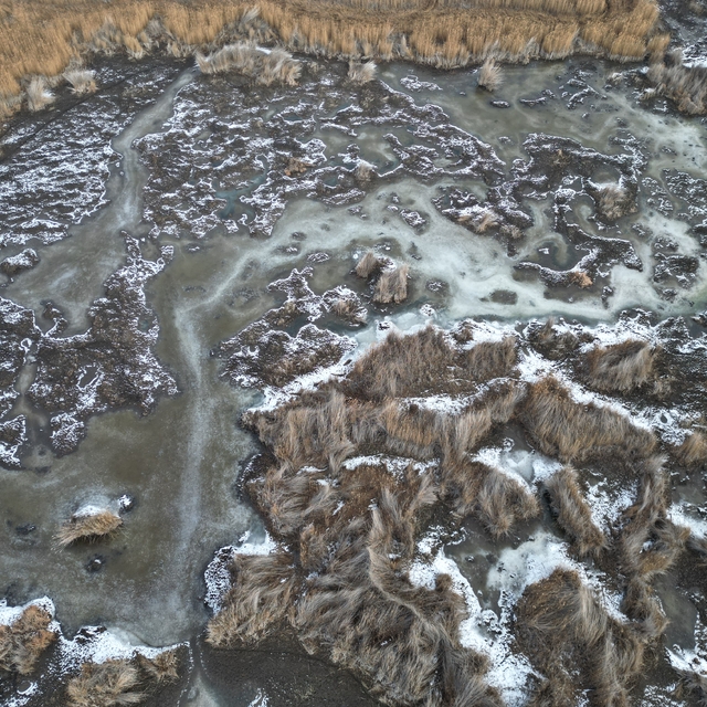 Sultan Sazlığı Milli Parkı'ndaki sulak alanlar buz tuttu