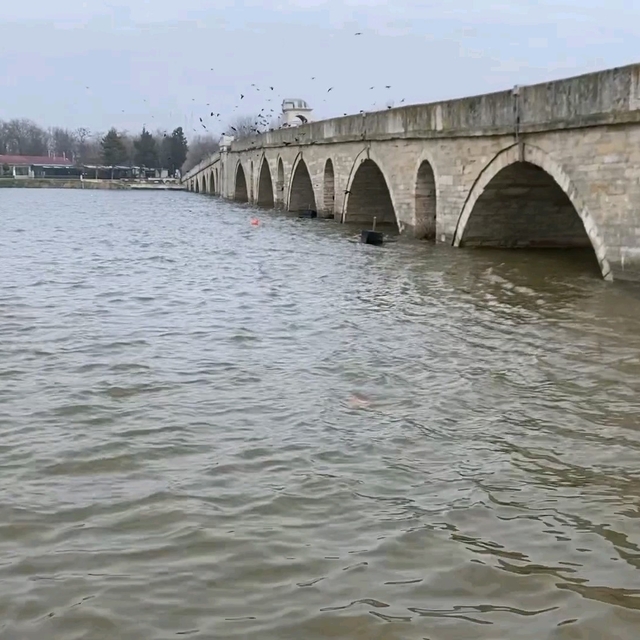 Meriç ve Tunca'daki yükseliş çiftçiye umut oldu