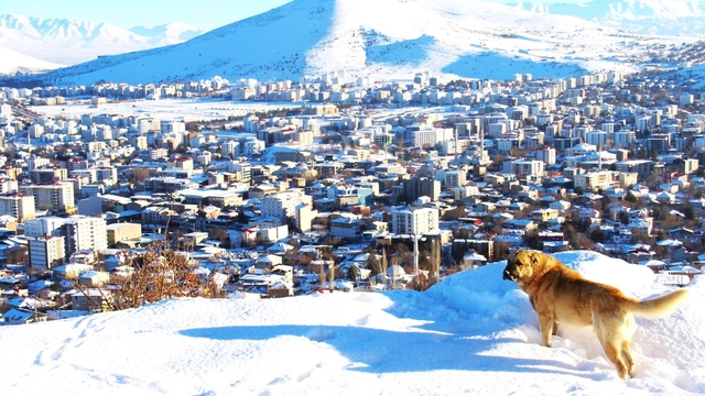 Afşin'de kar sonrası manzara hayran bıraktı