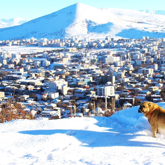 Afşin'de kar sonrası manzara hayran bıraktı