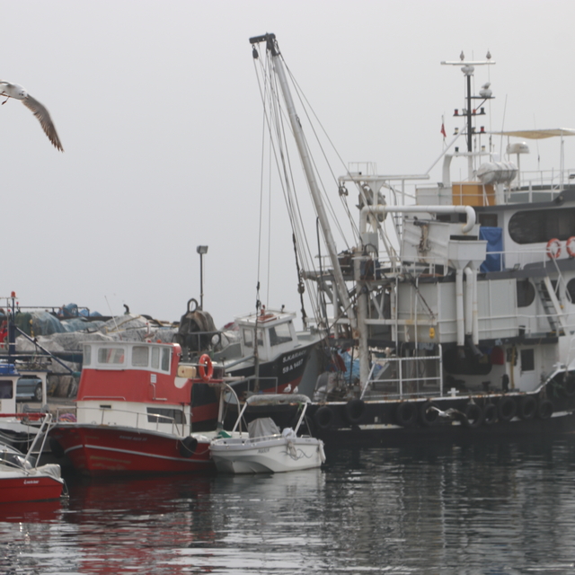 Tekirdağlı balıkçılar sis nedeniyle 2 gündür denize açılamıyor
