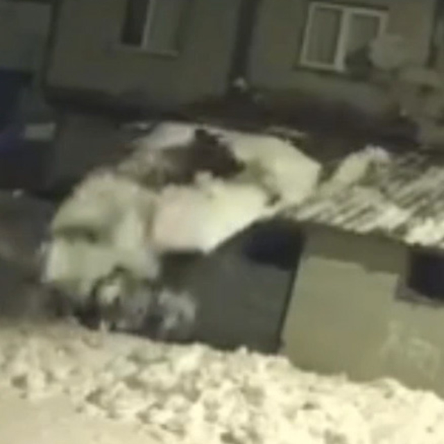 Kar kürerken çatıdan düştü; o anlar kamerada