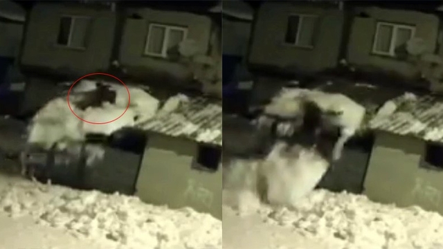 Çatıdaki karı temizlerken kar kütlesiyle zemine düştü