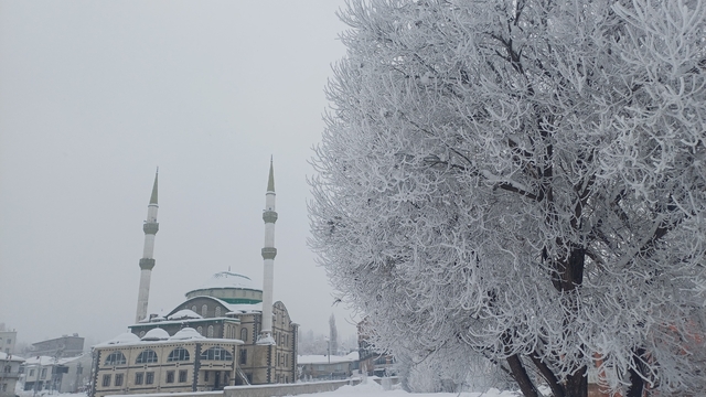Van ve çevre illerde kar nedeniyle 25 yerleşim yerine ulaşılamıyor