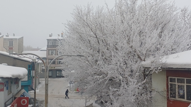 Malazgirt'te dondurucu soğuklar görsel şölene dönüştü