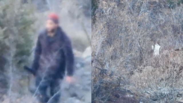 Artvin'de yasa dışı avcılığa geçit yok