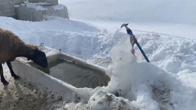 Ağrı'da soğuk hava etkisini göstermeye devam ediyor