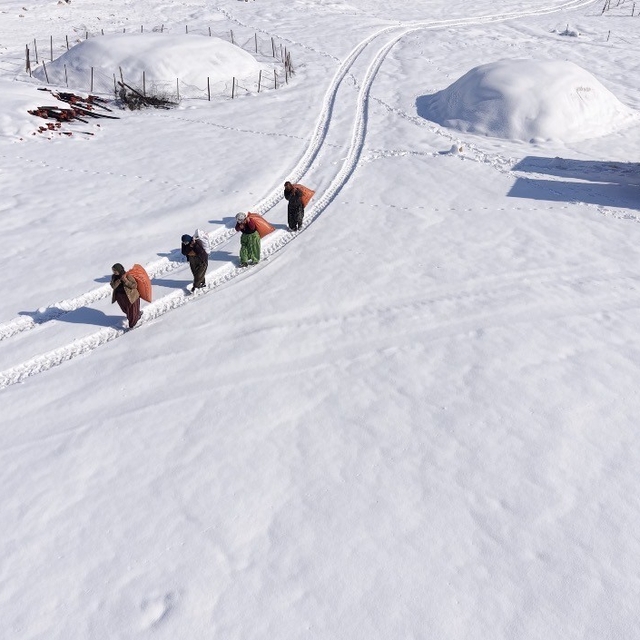 Mazıdağı'nın karlı yollarında zorlu mesai: Kadınlar sırtlarında saman taşıy...