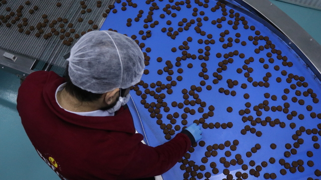 Devlet desteğiyle kurduğu fabrikada günde 100 bin paket glütensiz gıda üretiyor