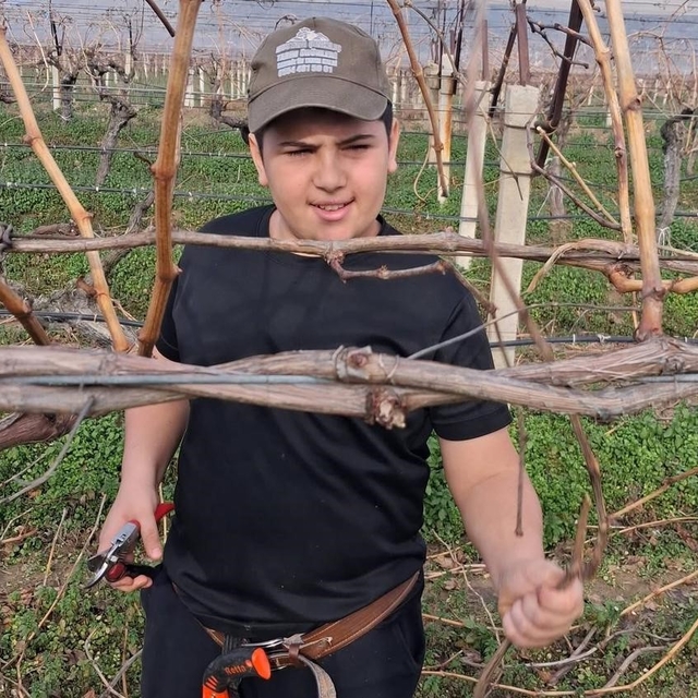 Yağmur bitti, çiftçi bağlara koştu