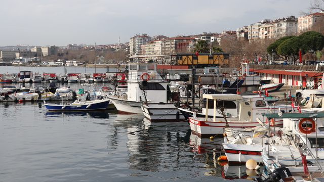 Tekirdağlı balıkçılar torik için denize açılıyor