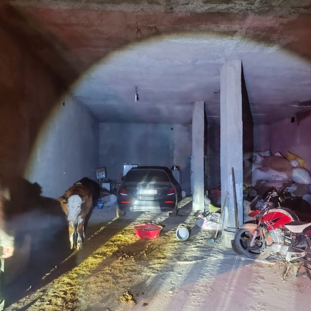 Çalıntı otomobil ahırda bulundu