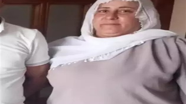 Diyarbakır'da kayıp kadını 410 kişilik ekip arıyor